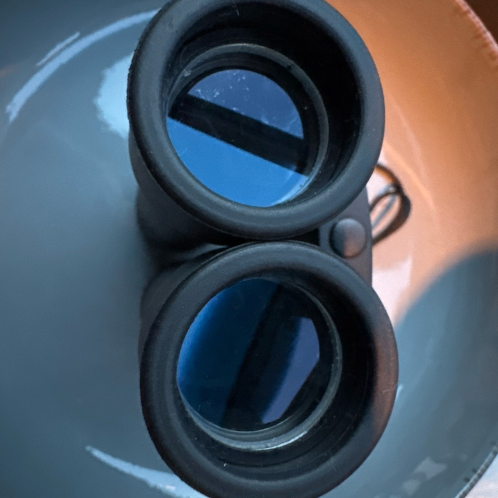 Bushnell 10x25 Compact Binoculars 300ft@1000yds Pocket Travel Hiking w/ Case - Picture 4 of 8